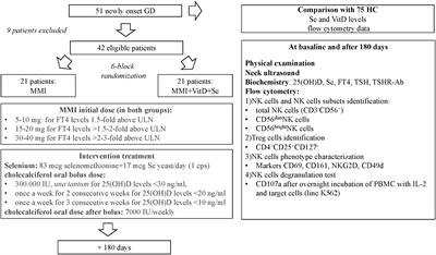 Immunomodulatory role of vitamin D and selenium supplementation in newly diagnosed Graves’ disease patients during methimazole treatment